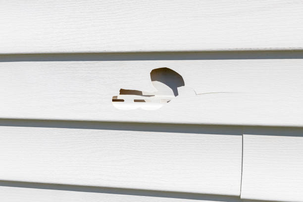 Custom Trim and Detailing for Siding in Gages Lake, IL